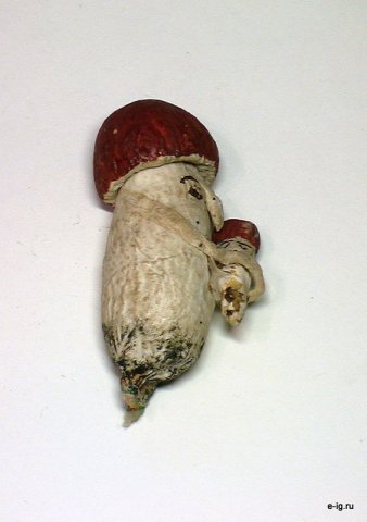 Гриб с грибком