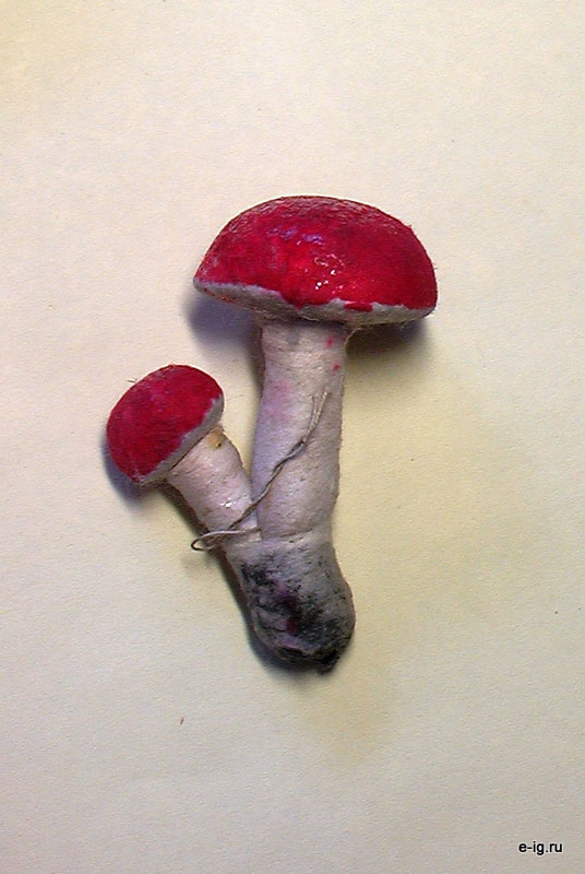 Грибы