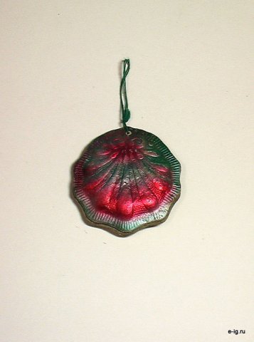 Ракушка